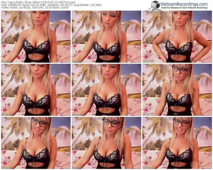 cams-yoko1-public-show-02_13_2015-09_07_12