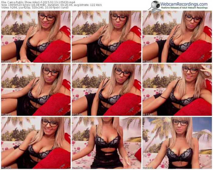 cams-yoko1-public-show-02_13_2015-10_56_33