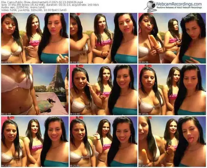 cams-dominante01-public-show-02_13_2015-09_39_29