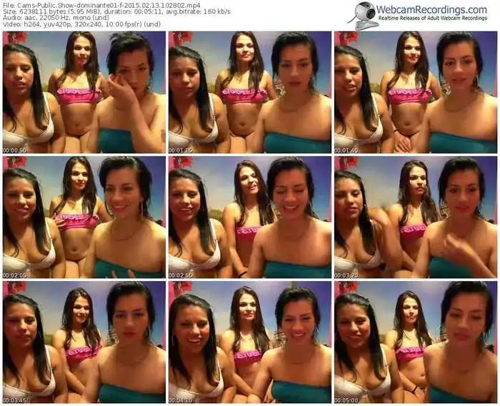 cams-dominante01-public-show-02_13_2015-10_28_02