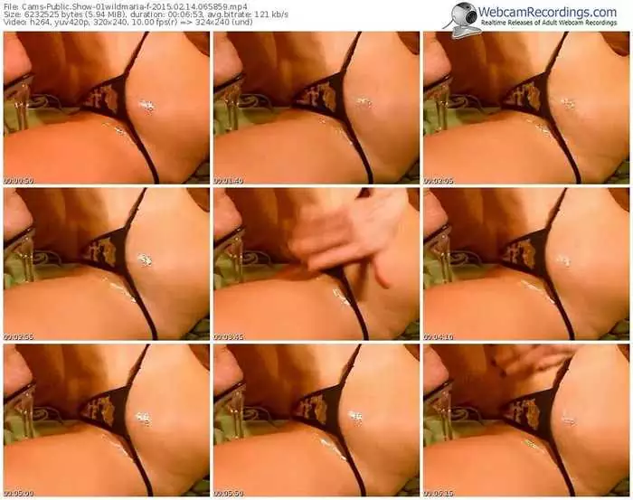 cams-01wildmaria-public-show-02_14_2015-06_58_59