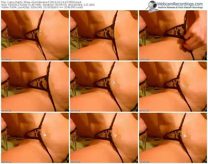 cams-01wildmaria-public-show-02_14_2015-07_28_30