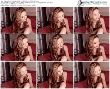 cams-amia-public-show-02_14_2015-07_46_16