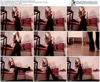 cams-amia-public-show-02_14_2015-10_19_25