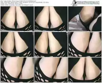 cams-carro-public-show-02_14_2015-04_26_36