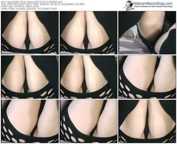 cams-carro-public-show-02_14_2015-04_26_36