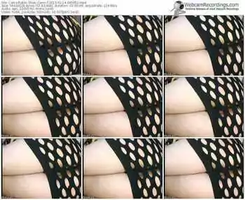 cams-carro-public-show-02_14_2015-04_59_52