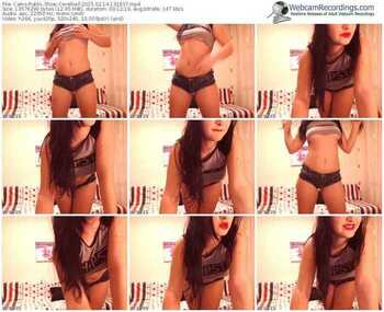 cams-cerellia-public-show-02_14_2015-13_18_37