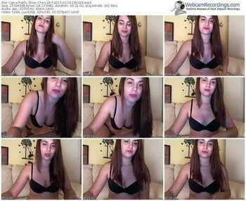 cams-chery24-public-show-02_14_2015-18_54_26