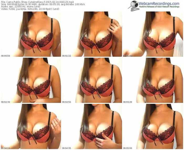 cams-cuteandsexy-public-show-02_14_2015-00_41_23