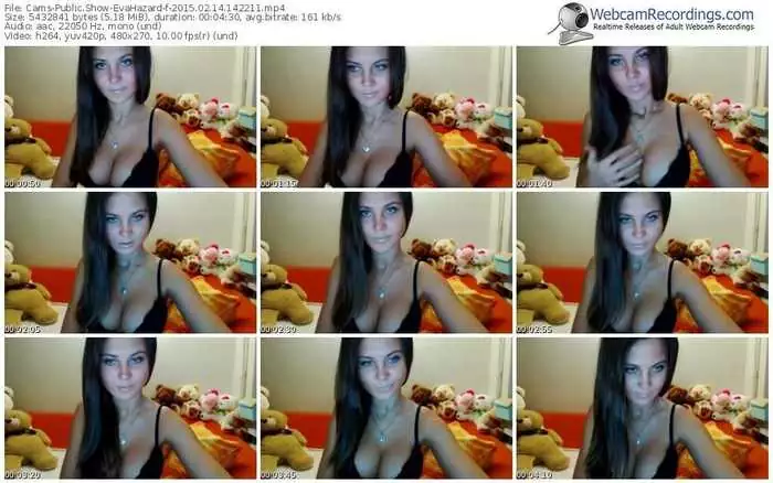 cams-evahazard-public-show-02_14_2015-14_22_11