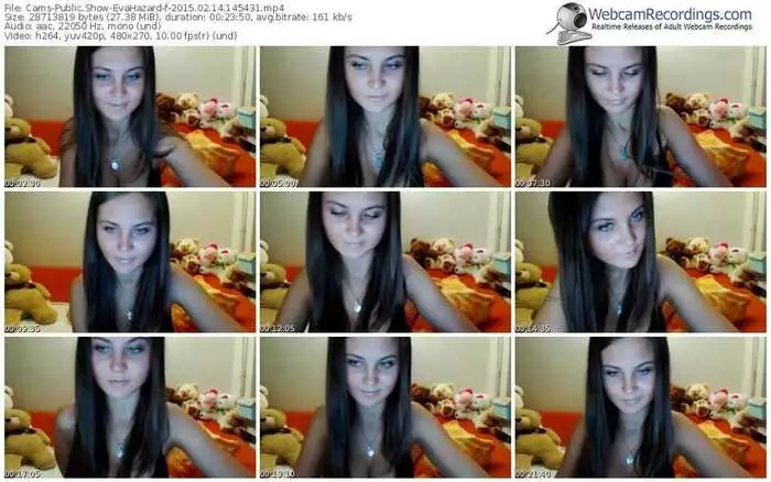 cams-evahazard-public-show-02_14_2015-14_54_31