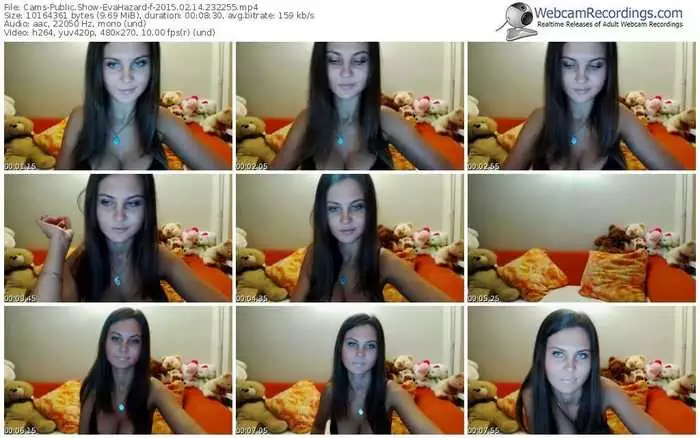 cams-evahazard-public-show-02_14_2015-23_22_55