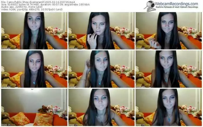 cams-evahazard-public-show-02_14_2015-23_37_26