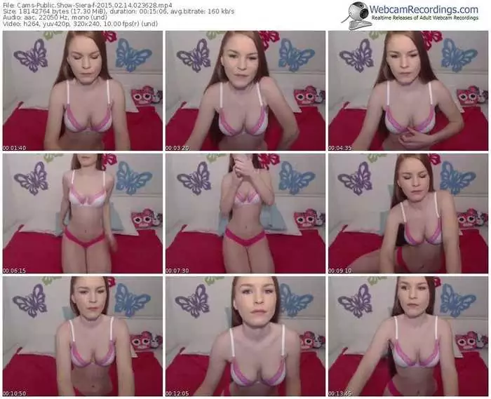 cams-siera-public-show-02_14_2015-02_36_28