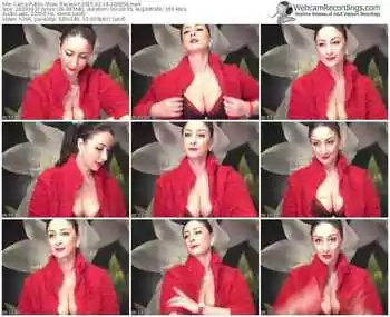 cams-traceyi-public-show-02_14_2015-10_08_54