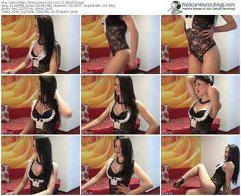 cams-vyka-public-show-02_14_2015-08_16_03