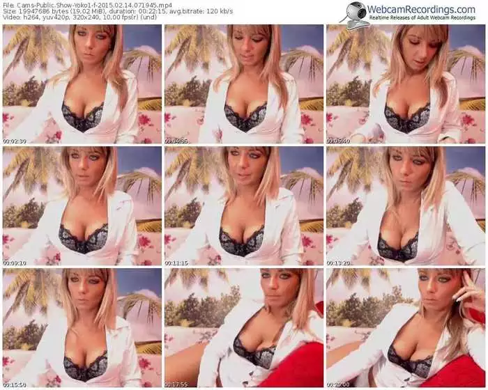 cams-yoko1-public-show-02_14_2015-07_19_45