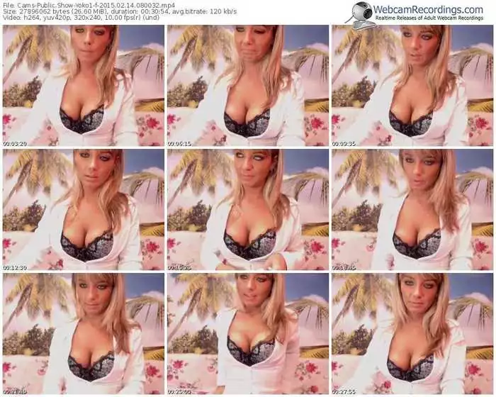 cams-yoko1-public-show-02_14_2015-08_00_32