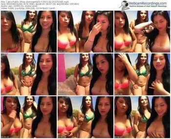 cams-dominante01-public-show-02_14_2015-07_10_00