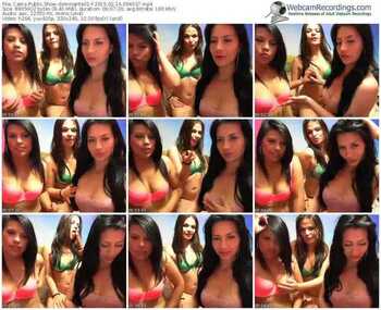 cams-dominante01-public-show-02_14_2015-09_40_37