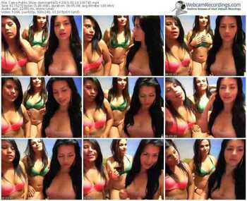 cams-dominante01-public-show-02_14_2015-10_07_40