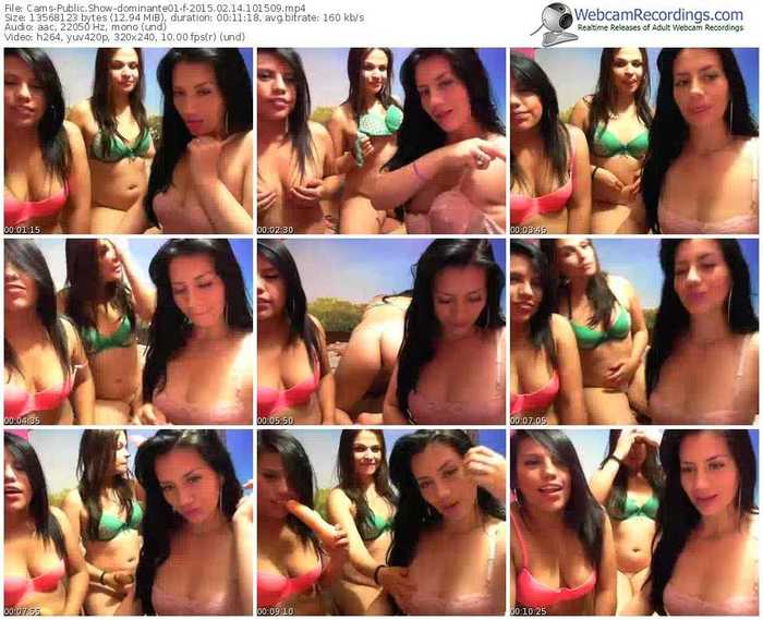 cams-dominante01-public-show-02_14_2015-10_15_09