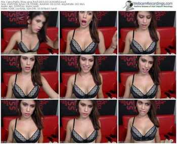 cams-gina_fire-public-show-02_14_2015-00_34_52