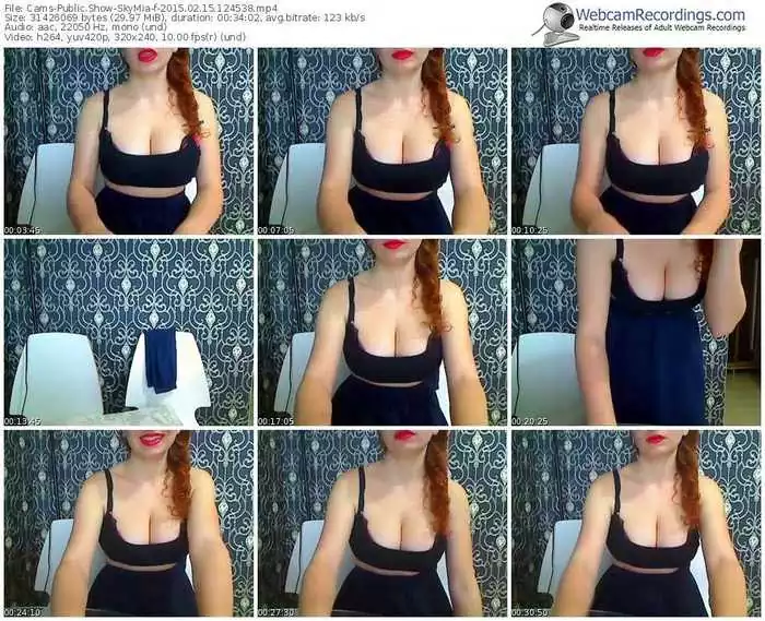 cams-skymia-public-show-02_15_2015-12_45_38