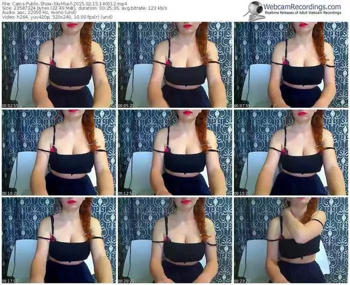 cams-skymia-public-show-02_15_2015-14_00_12