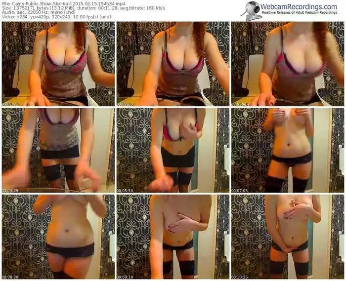 cams-skymia-public-show-02_15_2015-15_45_34