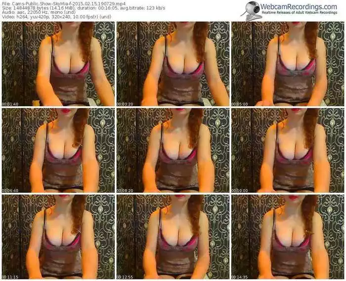 cams-skymia-public-show-02_15_2015-19_07_29