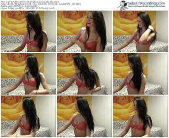 cams-vyka-public-show-02_15_2015-20_22_32