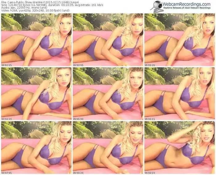 cams-weiwei-public-show-02_15_2015-18_48_13