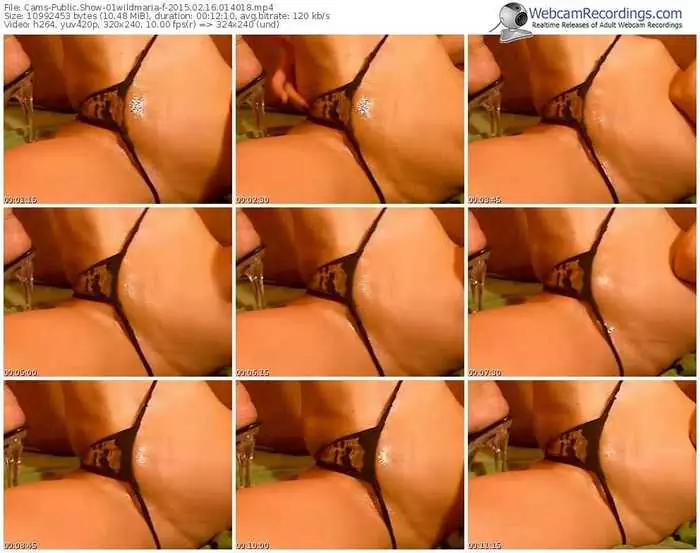 cams-01wildmaria-public-show-02_16_2015-01_40_18