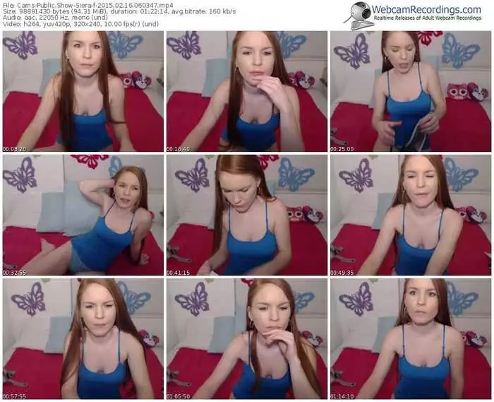 cams-siera-public-show-02_16_2015-06_03_47