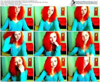 cams-skylight-public-show-02_16_2015-13_45_04