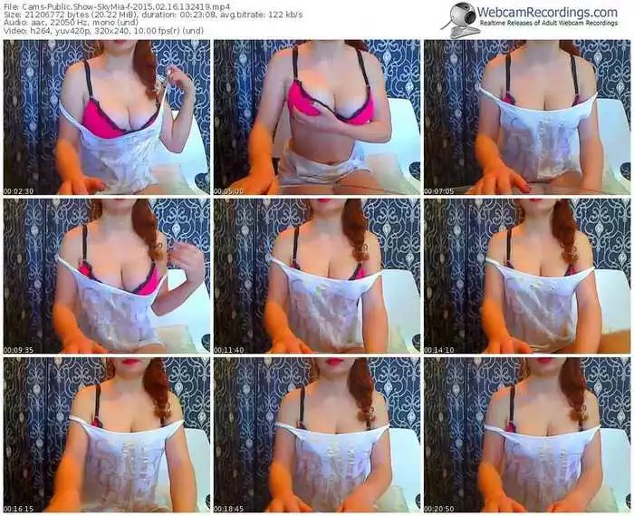 cams-skymia-public-show-02_16_2015-13_24_19