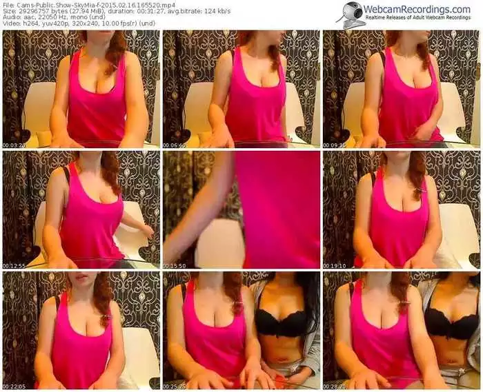 cams-skymia-public-show-02_16_2015-16_55_20