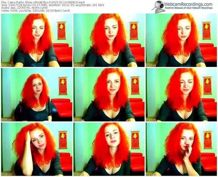 cams-ulltrakittys-public-show-02_16_2015-08_28_10