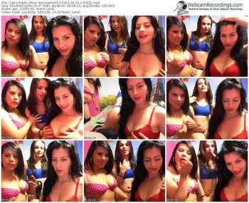cams-dominante01-public-show-02_16_2015-13_18_20