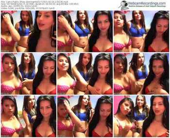 cams-dominante01-public-show-02_16_2015-13_32_36