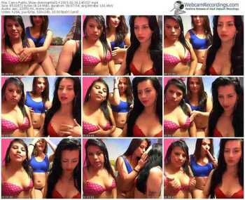 cams-dominante01-public-show-02_16_2015-14_03_37