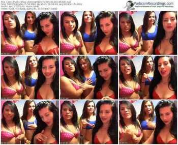 cams-dominante01-public-show-02_16_2015-14_53_40