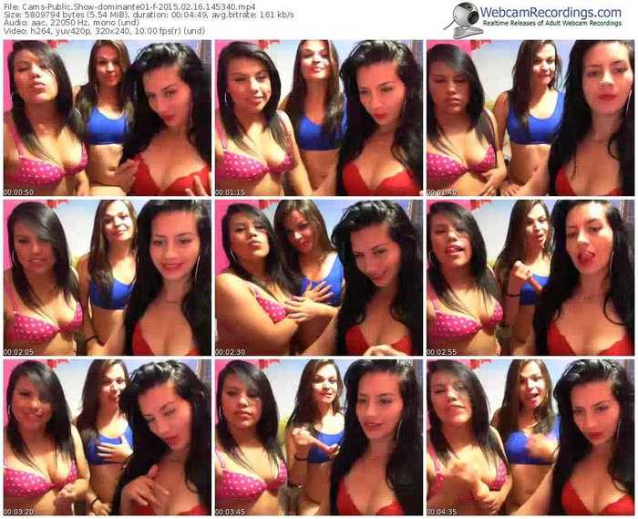 cams-dominante01-public-show-02_16_2015-14_53_40