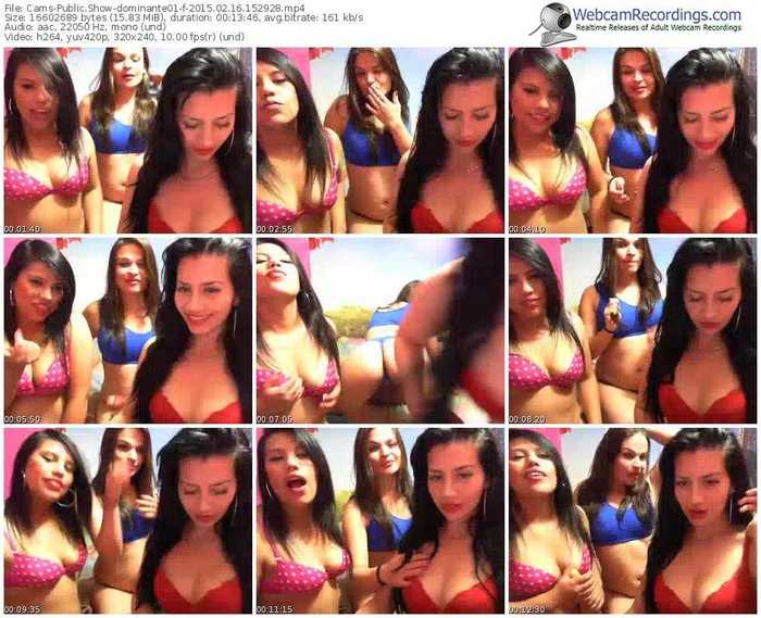 cams-dominante01-public-show-02_16_2015-15_29_28