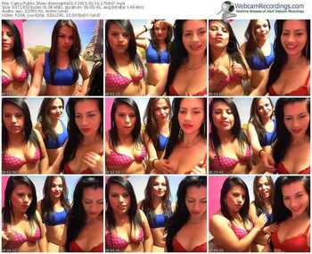cams-dominante01-public-show-02_16_2015-17_09_07