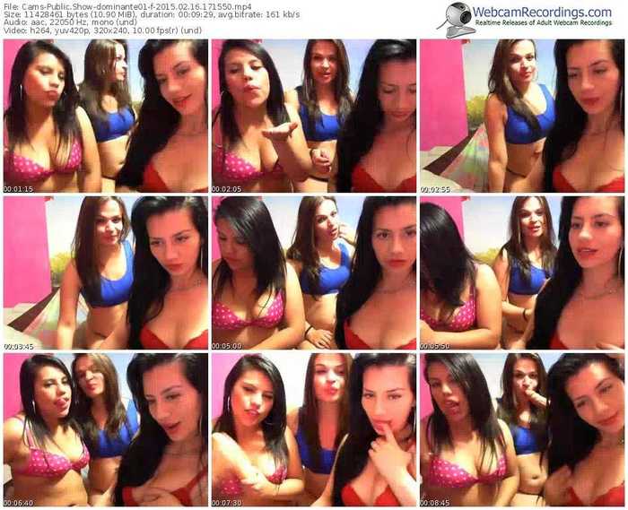cams-dominante01-public-show-02_16_2015-17_15_50