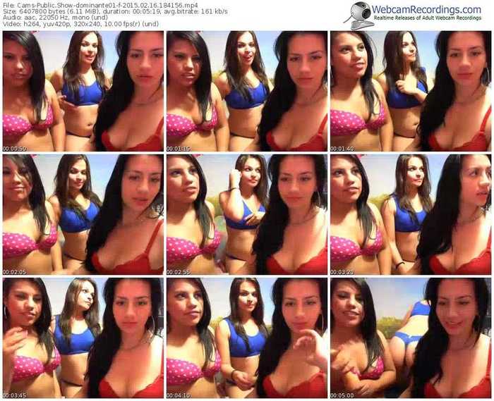 cams-dominante01-public-show-02_16_2015-18_41_56