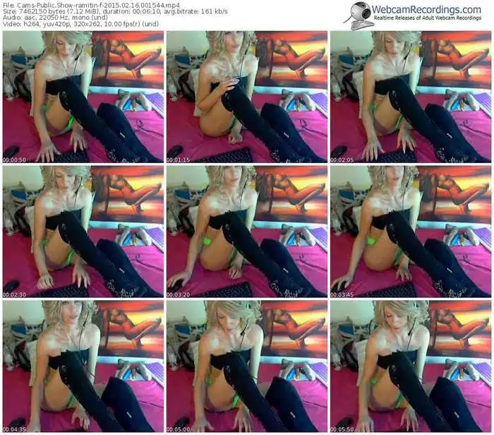 cams-ramitin-public-show-02_16_2015-00_15_44